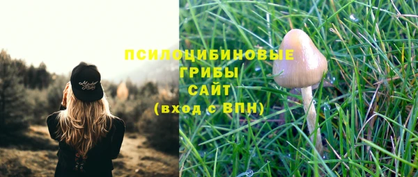 кокс Абаза